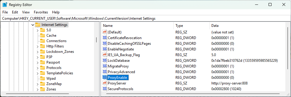 ProxyMgr internet settings registry